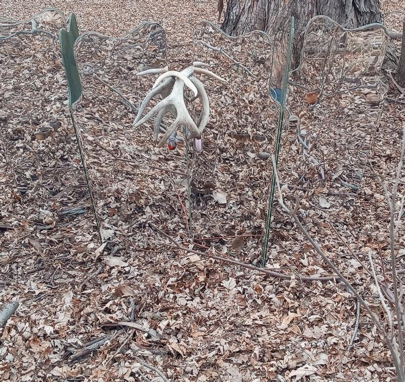 Peeking through handles