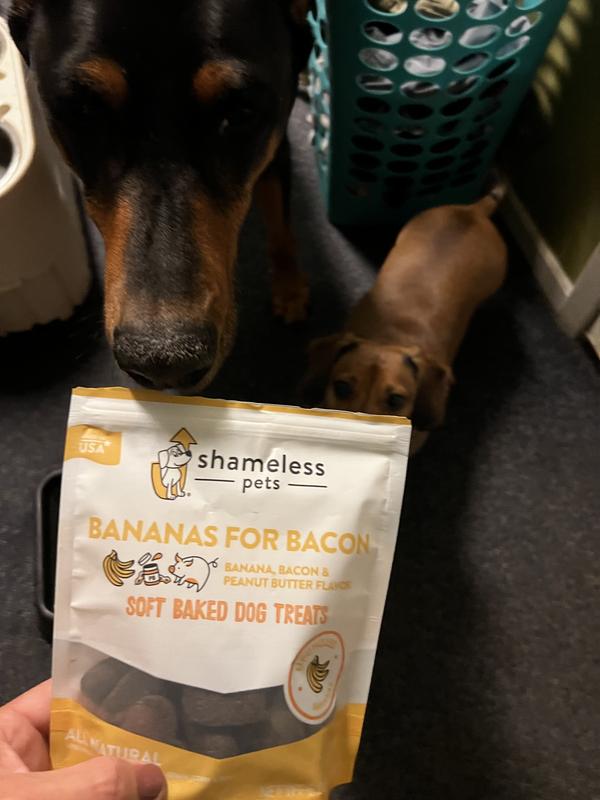 Are Bacon Treats Bad For Dogs