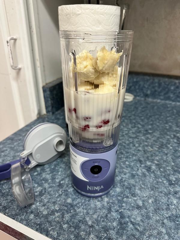Ninja Blast™ Max Portable Blender in Silver