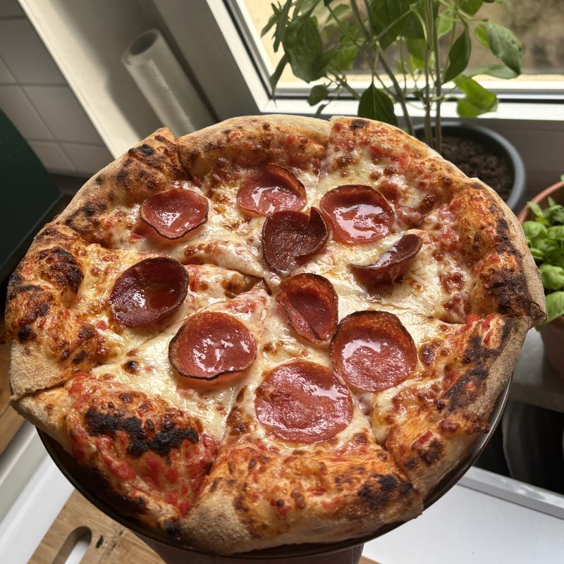 焼き型 12点セット Ninja Artisan 12-inch Outdoor Pizza Oven