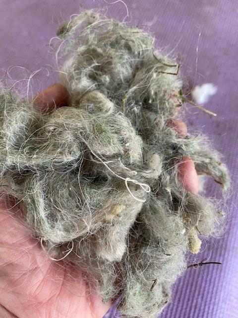 crazy amounts of hair on the brush roller!