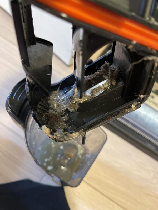 Mold growing because I didn’t clean out for one day