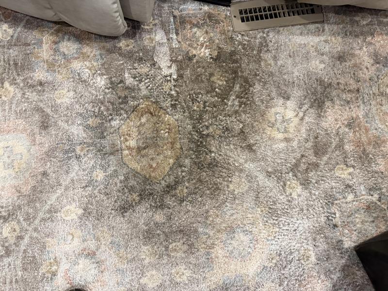 Customer photo for "Rug worse after cleaning"