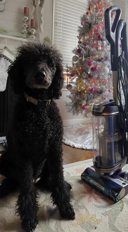 They're both so pretty