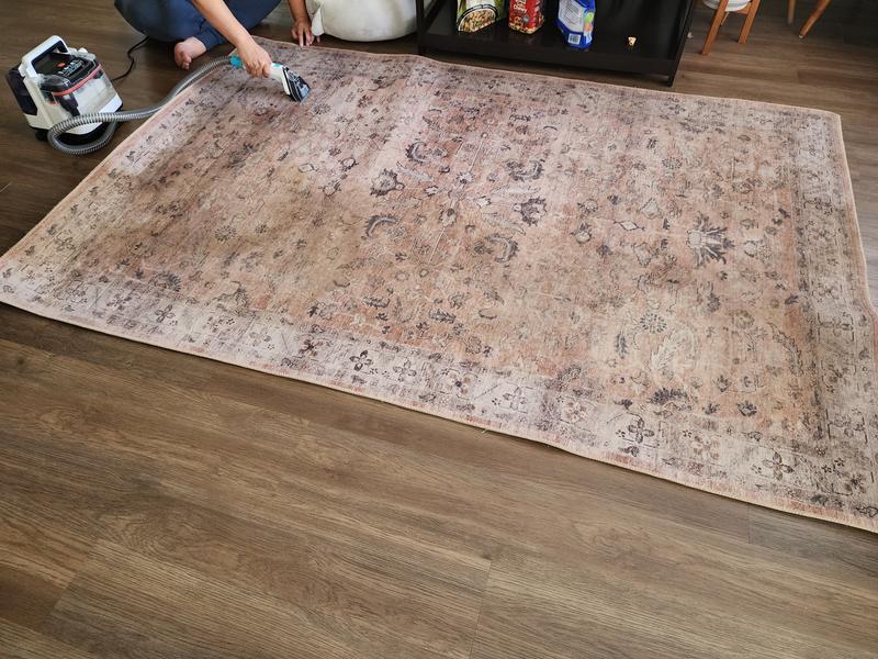 Customer carousel item 2.