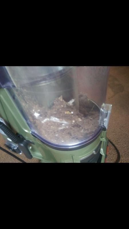 The debrid picked up even after we ran our old vaccum