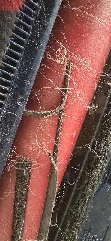 Ripped fin, and hair that gets wrapped around. This wasn't fully cleaned off when I decided to take a picture.