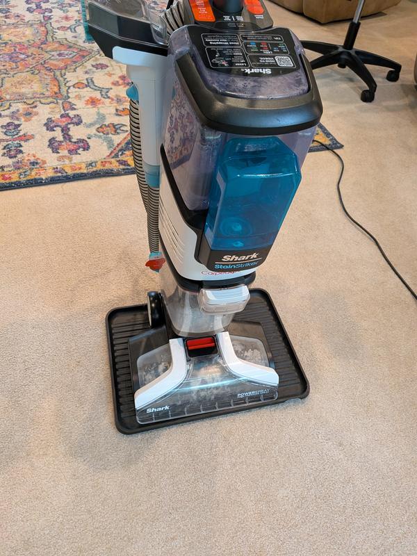 Ges t my light colored carpets. Spotless