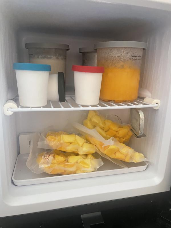 Frozen fruit in pre measured freezer bags and deluxe pints of slushy, yogurt ice cream, strawberry lite ice cream