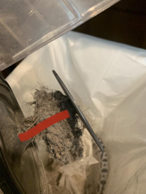 stick that hair gets wrapped around