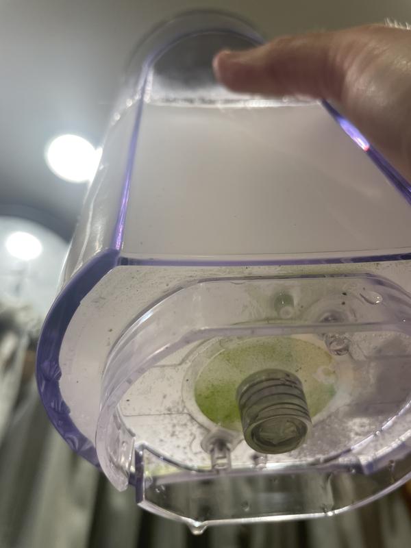 Photo - commentaire 1.