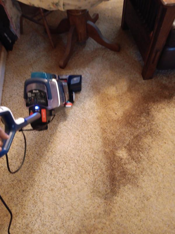 Carpet with pets and smoker