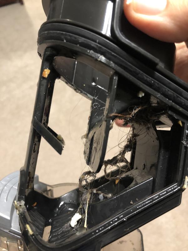 Hairs and debris picked up, but most hair and lint still left on carpet