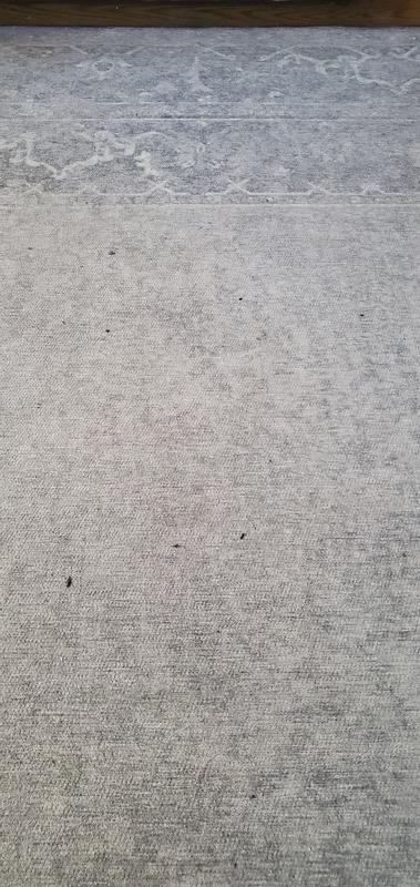 Carpet after vacuumed