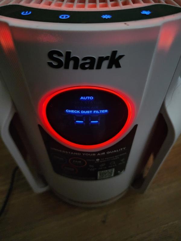 Shark Never Change