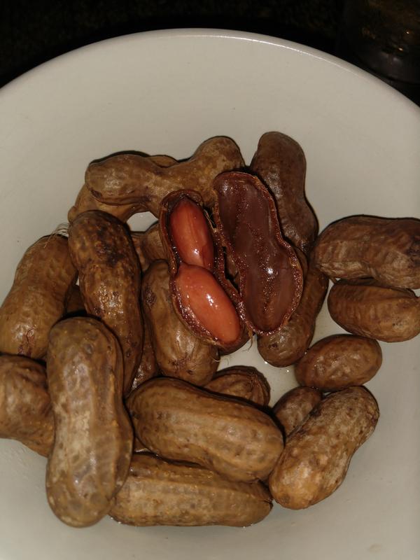 Boiled Peanuts