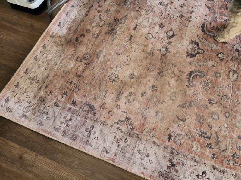 Customer carousel item 4.