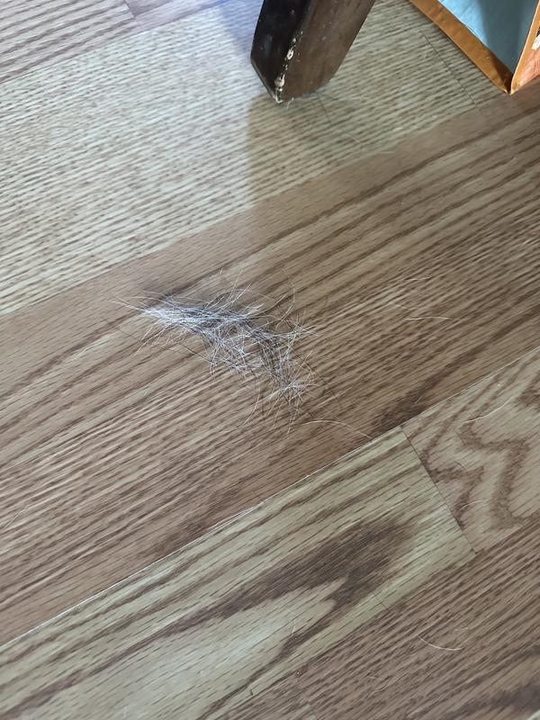 Hair just moves into piles around the house instead of picking up