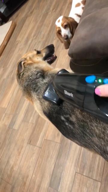 Vacuuming the source