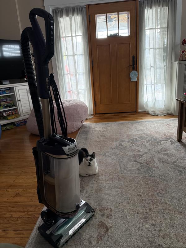 No cat fur left behind