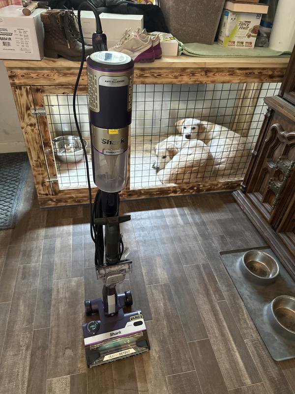 The vacuum plus our sweet boys