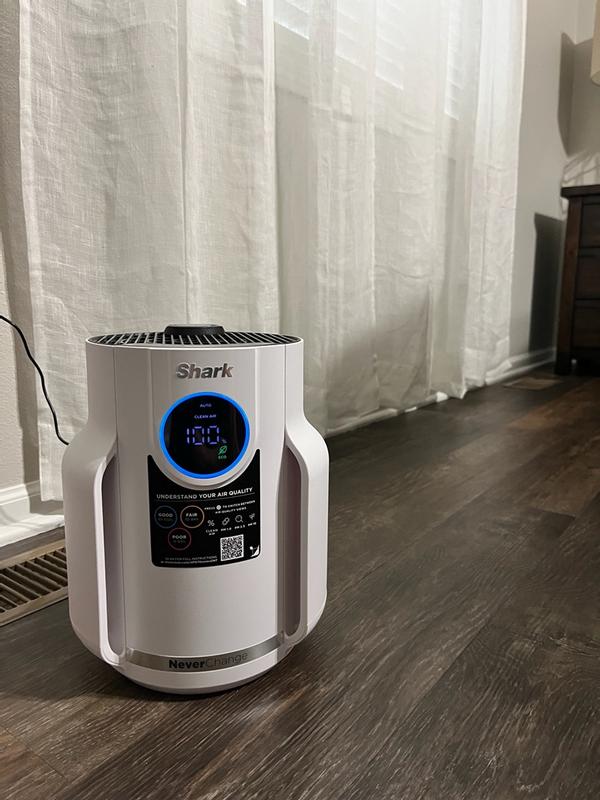 Ninja Crispi Glass Air Fryer and Air Purifier | SharkNinja