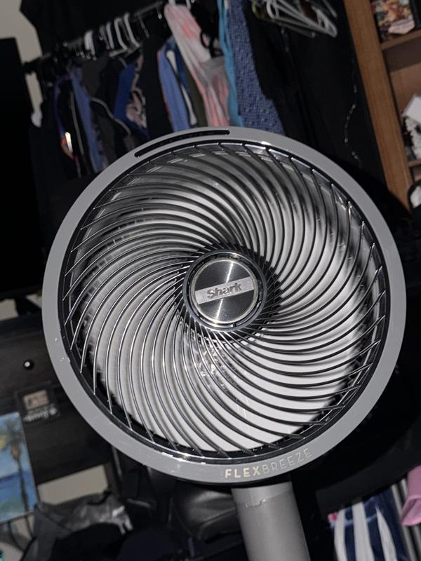 My fan