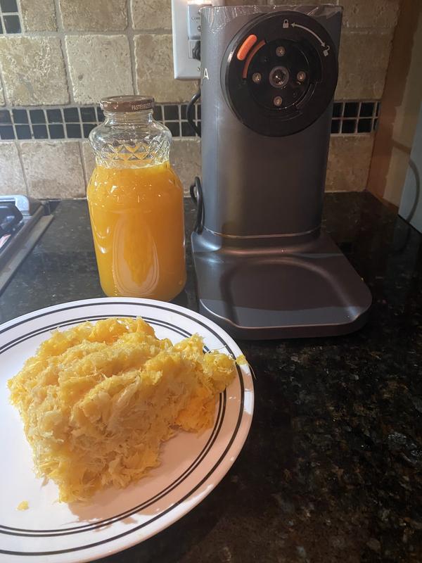 Ninja NeverClog Cold Press Juicer, Powerful Slow Juicer, Total