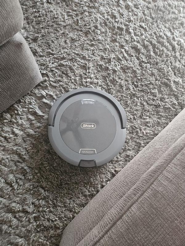 Photo - commentaire&nbsp;8.