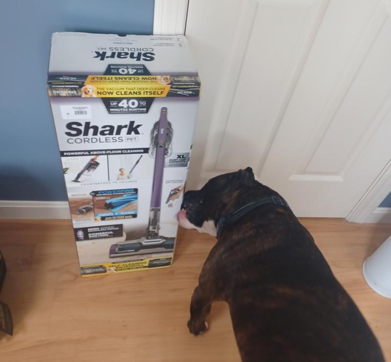 My dog is not happy we have a new vacuum