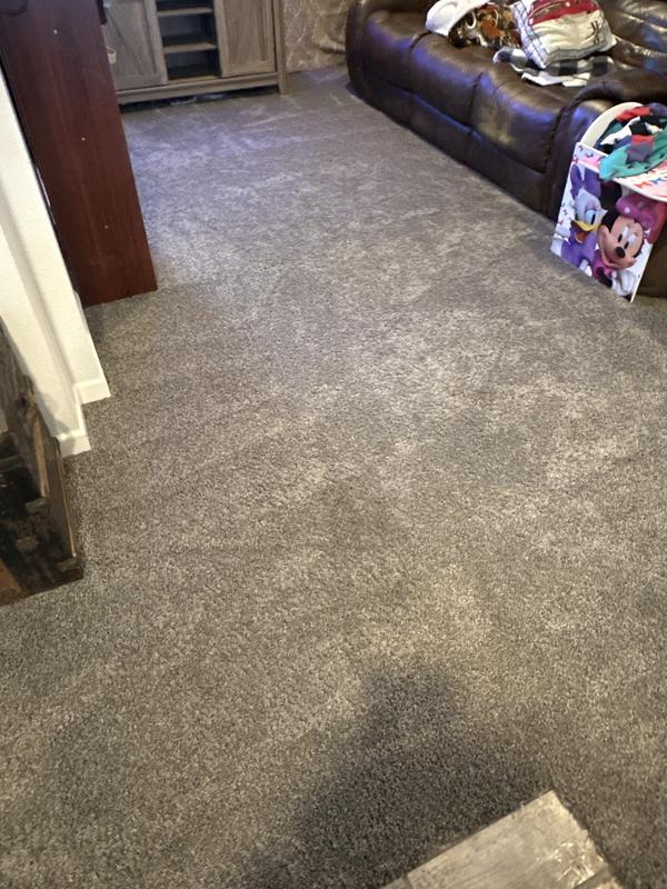 Perfectly clean fuzzy carpets