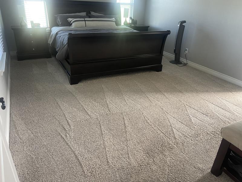 My over 7-year-old carpet.