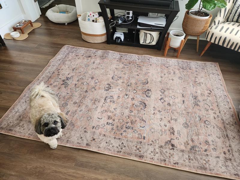 All cleaned and dried after a day!