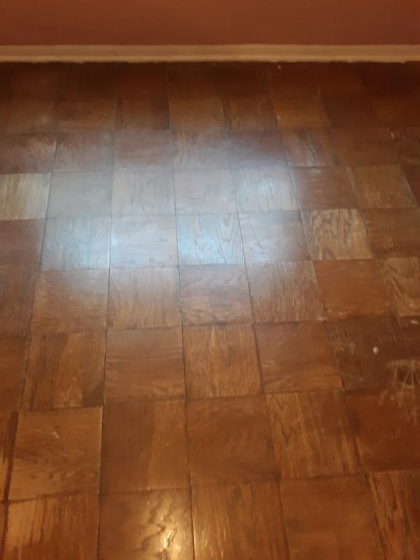 My floor after I finished vacuuming!