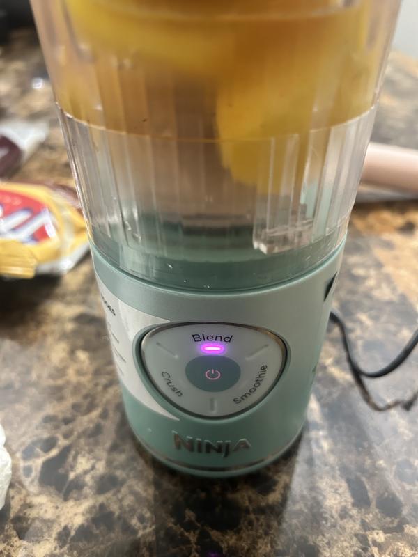 Ninja Blast™ Max Cordless Portable Blender Platinum Silver