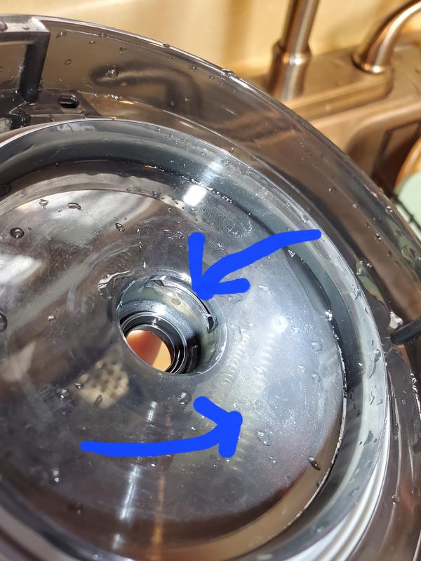 Crud that is trapped and springs that we have rinsed and rinsed. We got a bunch of stuff out, but still some remain that you cannot get to.  So GROSS!