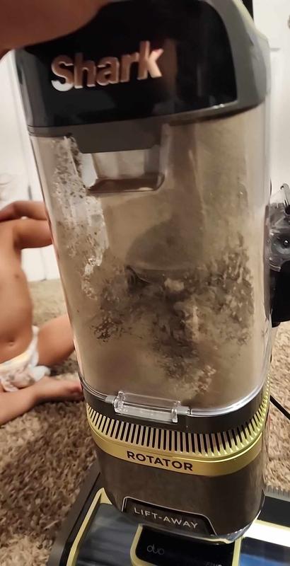My "i thought was clean" carpet dirt