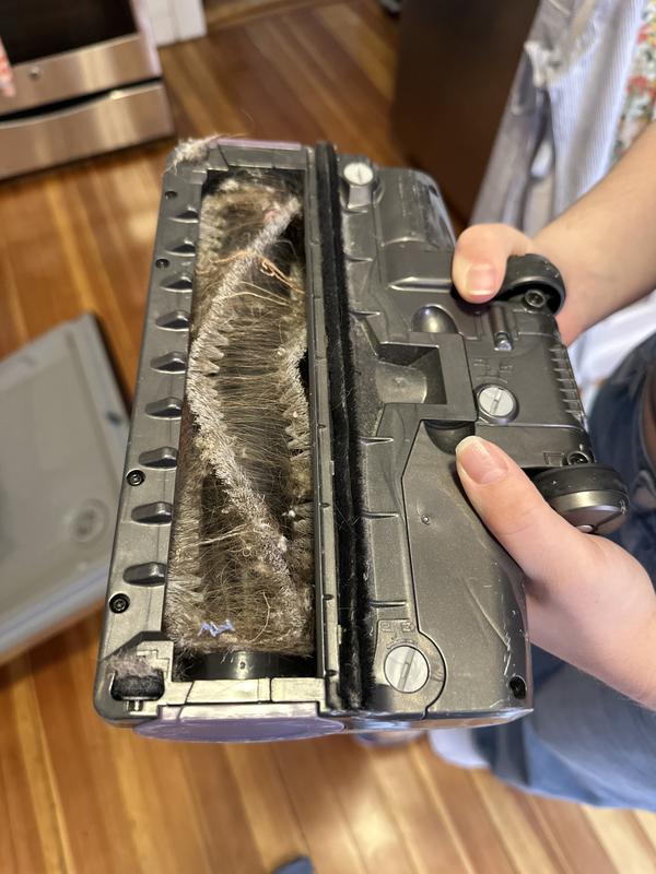 Photo - commentaire 4.