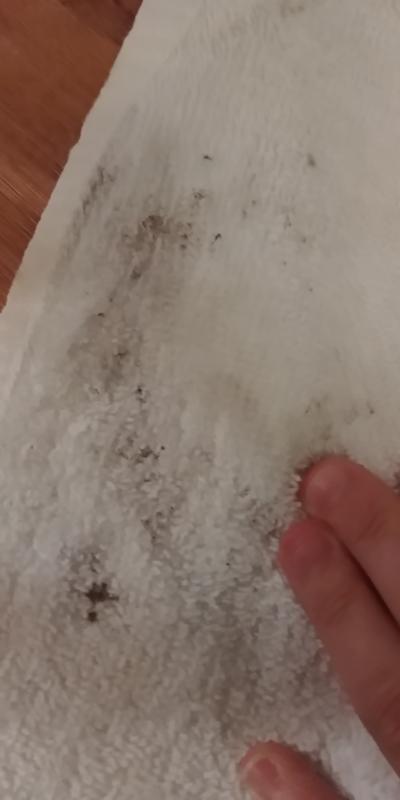 Wiped off soft rush roll