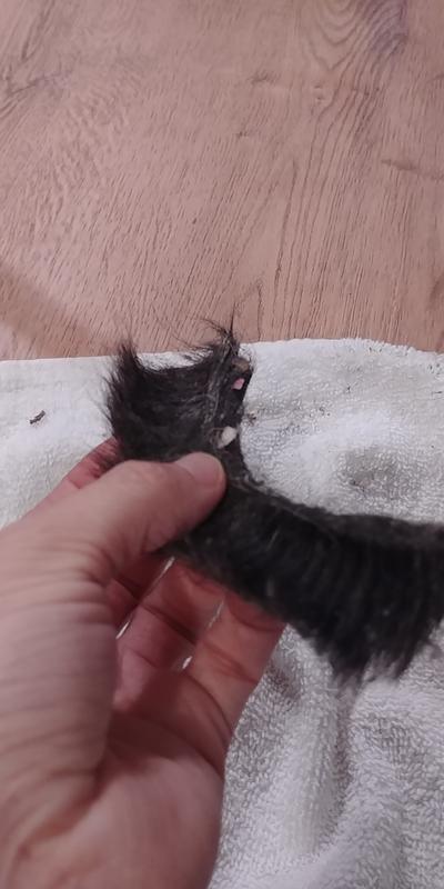 Clump of hair trapped behind soft brush roll. Used release button and came out clean!