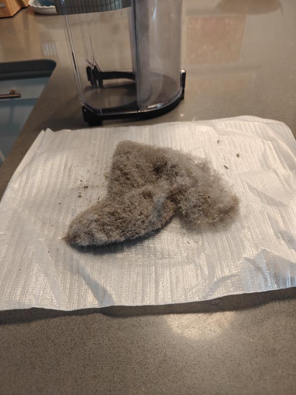 First vacuumed with Shark Apex then Powerdetect. This was what Powerdetect pulled up.