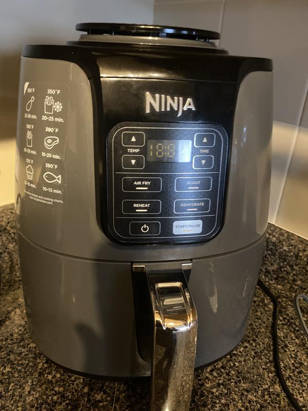 Ninja Air Fryer, The Good, The Bad, Model AF101, AF100, Ceramic Air Fryer