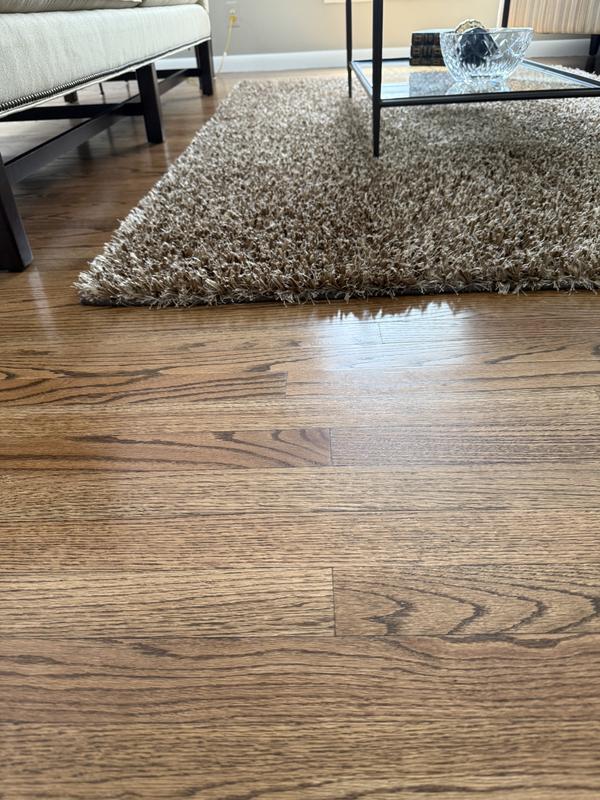 No problem w/this rug