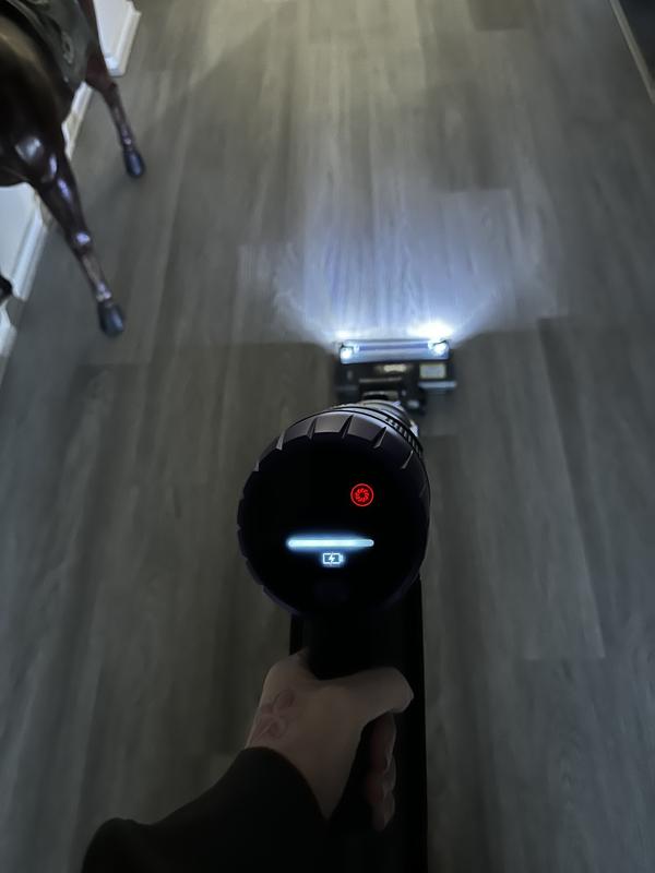 Lighting up the dust