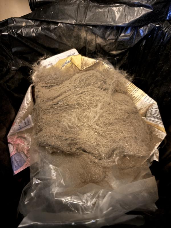 One Cleanup of 3 rooms including the Lounge Room