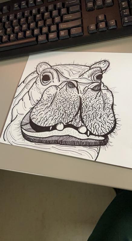 Photo - commentaire 5.