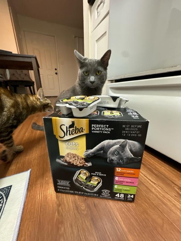 SHEBA Wet Cat Food Cuts in Gravy Variety Pack Roasted Chicken