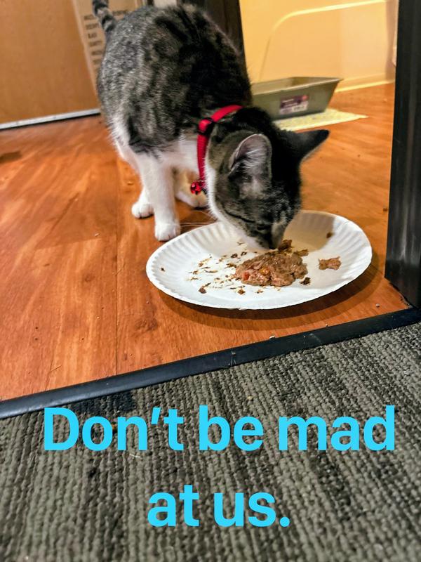 Lilian enjoying it a week after dad said just hard food