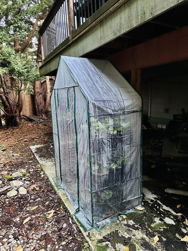 Photo - commentaire&nbsp;2.