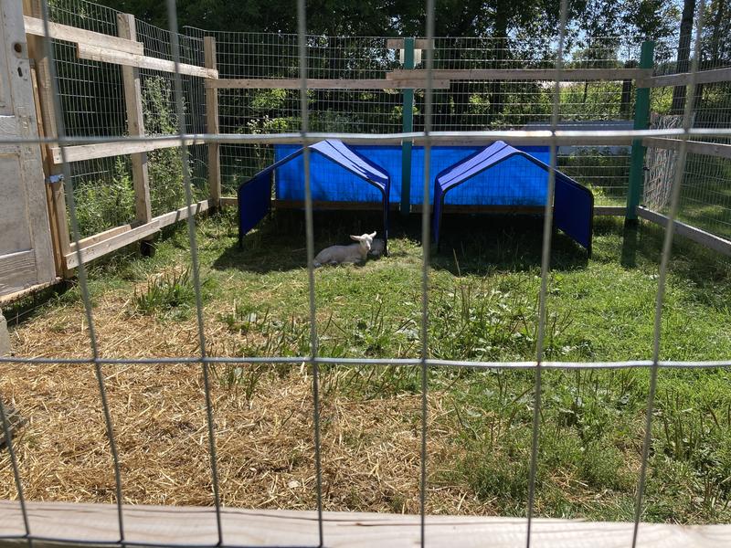 Photo - commentaire&nbsp;2.